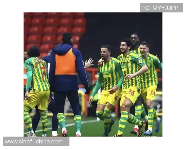 博尔顿与西布朗对决前瞻分析及比赛结果预测 博尔顿与西布朗对决前瞻分析及比赛结果预测