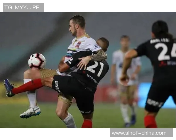 墨尔本与惠灵顿对决精彩回顾及比分分析12月28日赛事情况