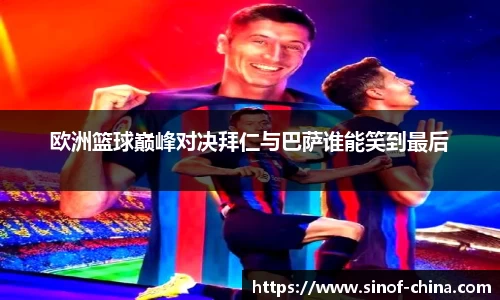 3377体育
