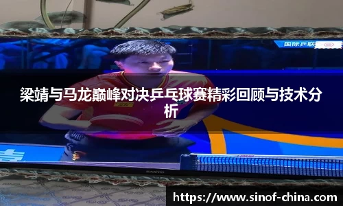 3377体育app