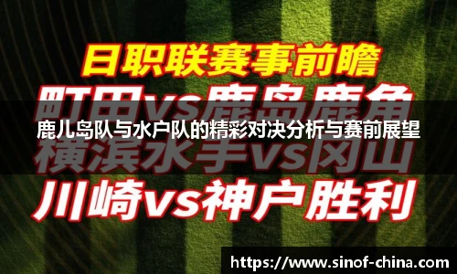 3377体育